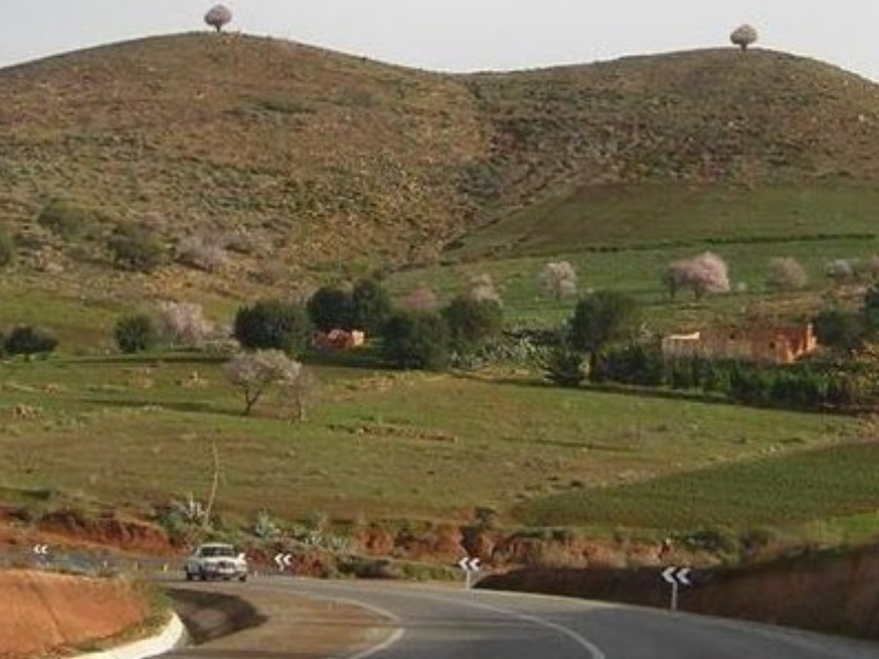 طائرة محملة بالمخدرات تسقط بضواحي الناظور طائرة محملة بالمخدرات تسقط بضواحي الناظور