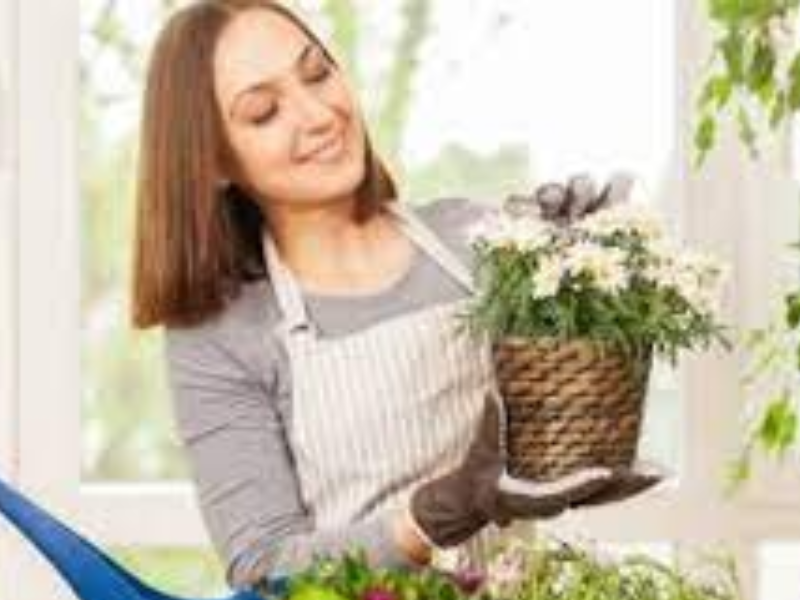 أخطاء شائعة أثناء العناية بالنباتات المنزلية وكيفية تجنبها