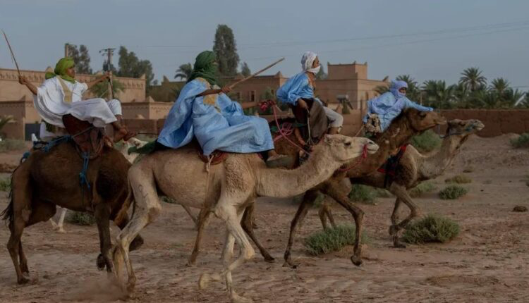 محاميد الغزلان.. سهرة فنية كبرى في ختام الدورة 19 للمهرجان الدولي للرحل