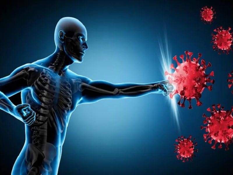 تعرف على الأطعمة التي تقوي جهاز المناعة خلال انتشار الأمراض