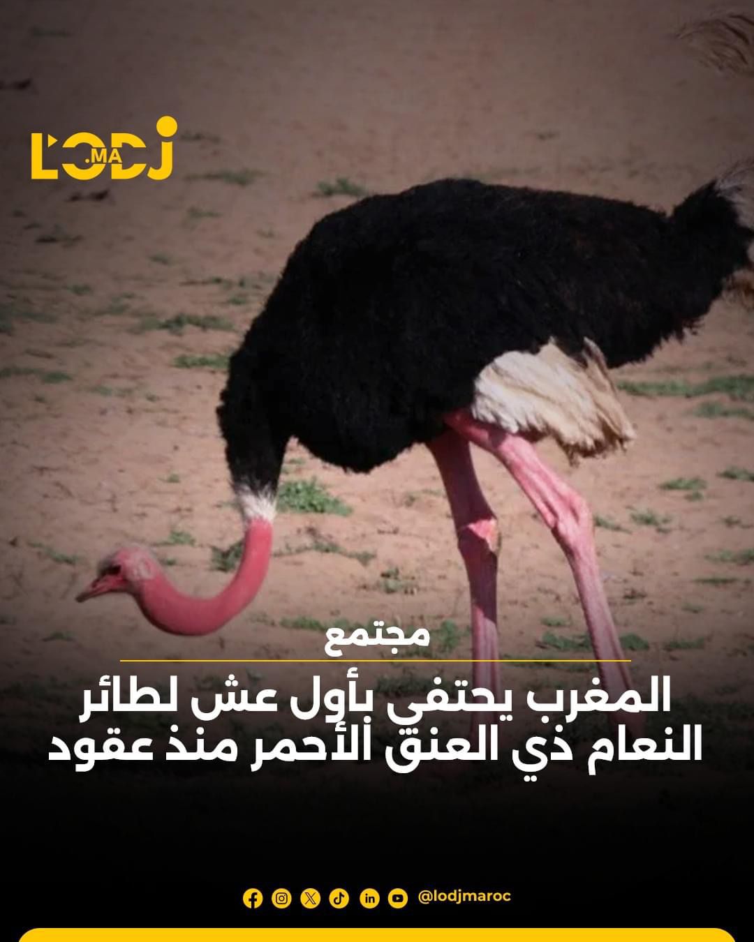 تطور بيئي ملفت تطور بيئي ملفت