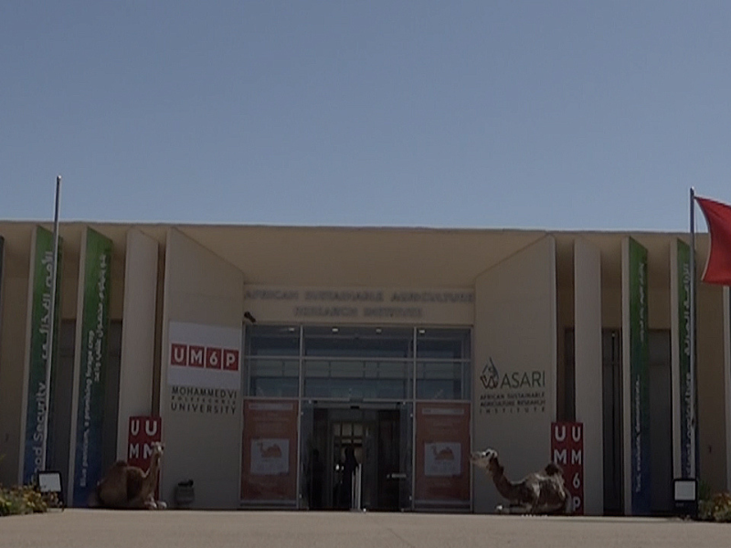 ورشة عمل Camel-Du-Val تجمع مربي الإبل والتعاونيات في معهد ASARI بفم الواد ورشة عمل Camel-Du-Val تجمع مربي الإبل والتعاونيات في معهد ASARI بفم الواد