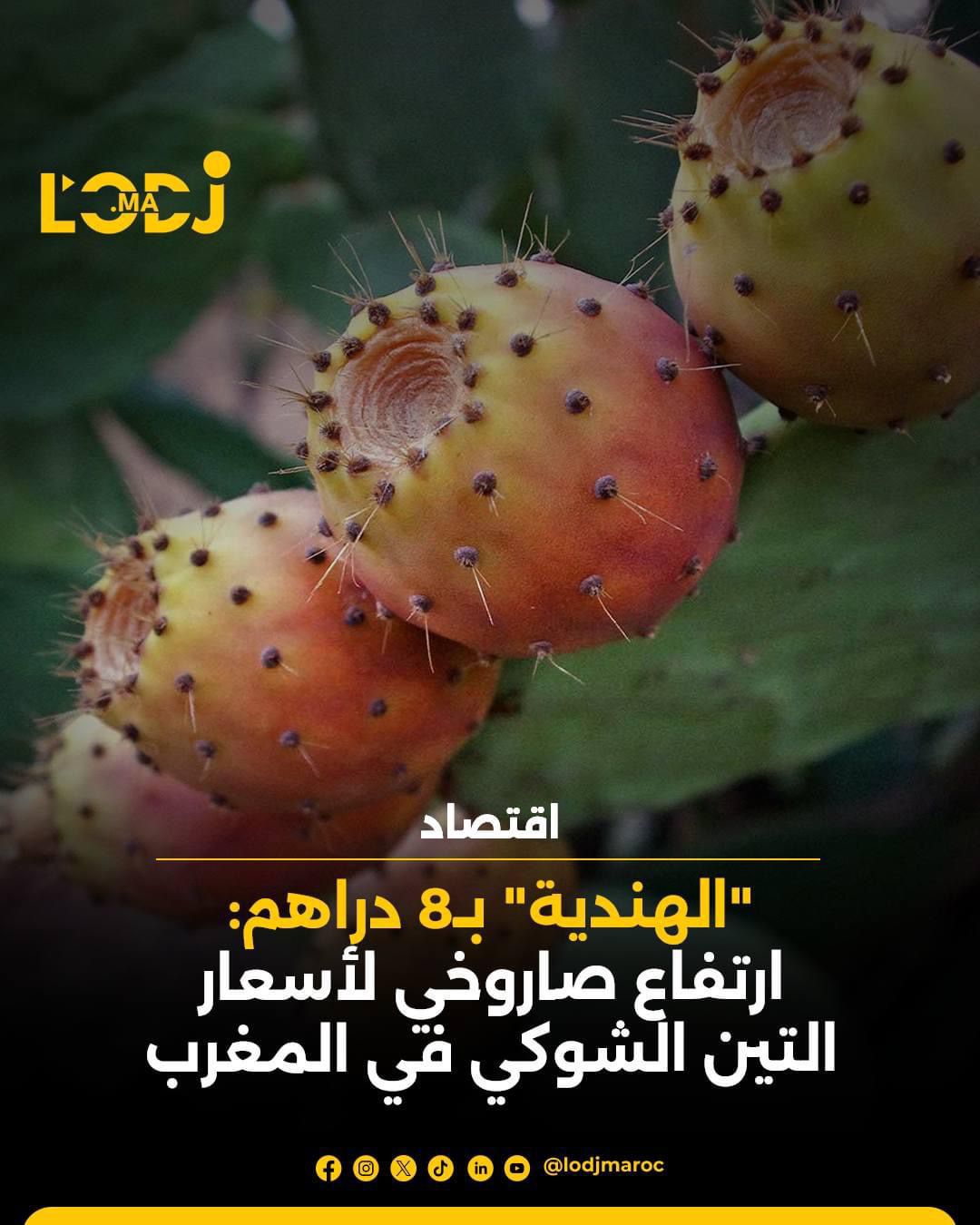 "الهندية" ب8 دراهم: ارتفاع صاروخي لأسعار التين الشوكي في المغرب "الهندية" ب8 دراهم: ارتفاع صاروخي لأسعار التين الشوكي في المغرب