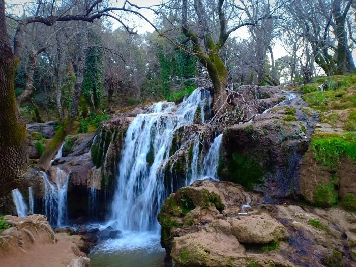 منتزه عين فيتال بإفران يفتح أبوابه للزوار في حلته الجديدة منتزه عين فيتال بإفران يفتح أبوابه للزوار في حلته الجديدة