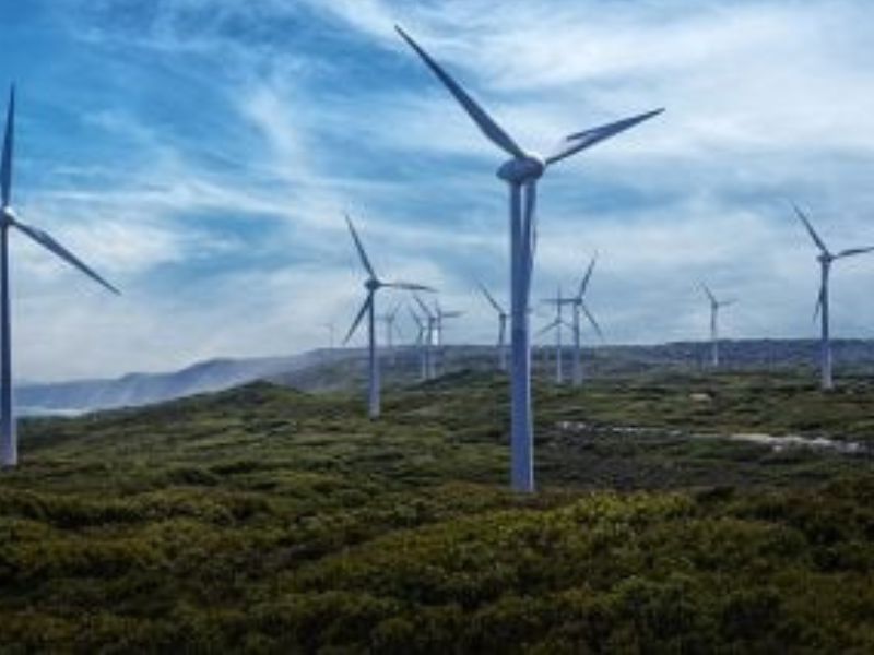 "الصويرة: عندما تروي الرياح قصة جديدة في الطاقة" "الصويرة: عندما تروي الرياح قصة جديدة في الطاقة"