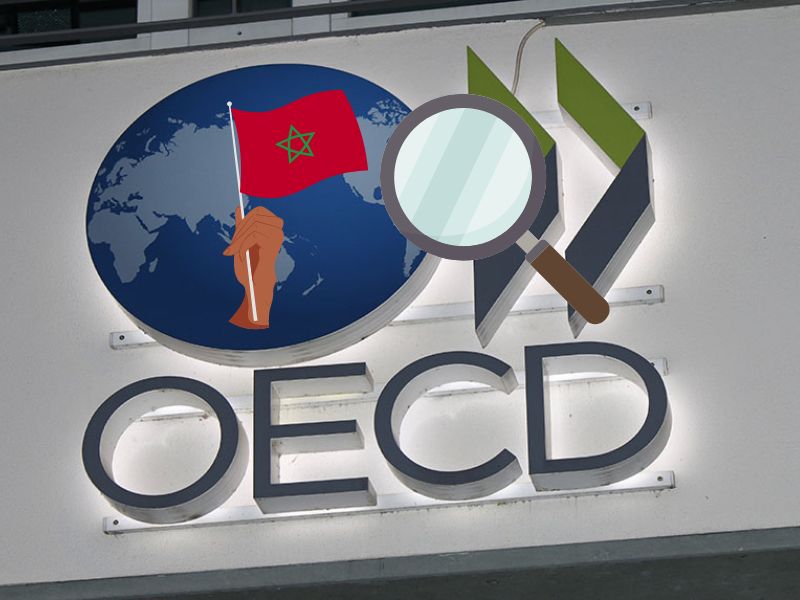 المغرب تحت مجهر منظمة التعاون الاقتصادي والتنمية