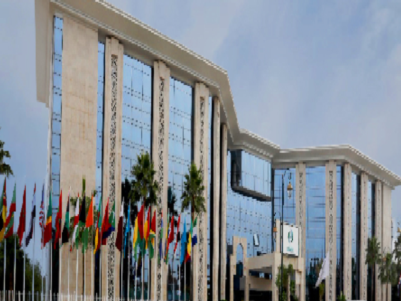 الإيسيسكو تشيد بدور المترجمين في تعزيز التبادل الثقافي والسلام العالمي الإيسيسكو تشيد بدور المترجمين في تعزيز التبادل الثقافي والسلام العالمي