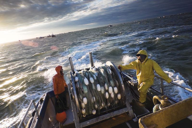 هذا رد المغرب بخصوص  قرار محكمة العدل الأوروبية حول اتفاقيتي الفلاحة والصيد البحري هذا رد المغرب بخصوص  قرار محكمة العدل الأوروبية حول اتفاقيتي الفلاحة والصيد البحري