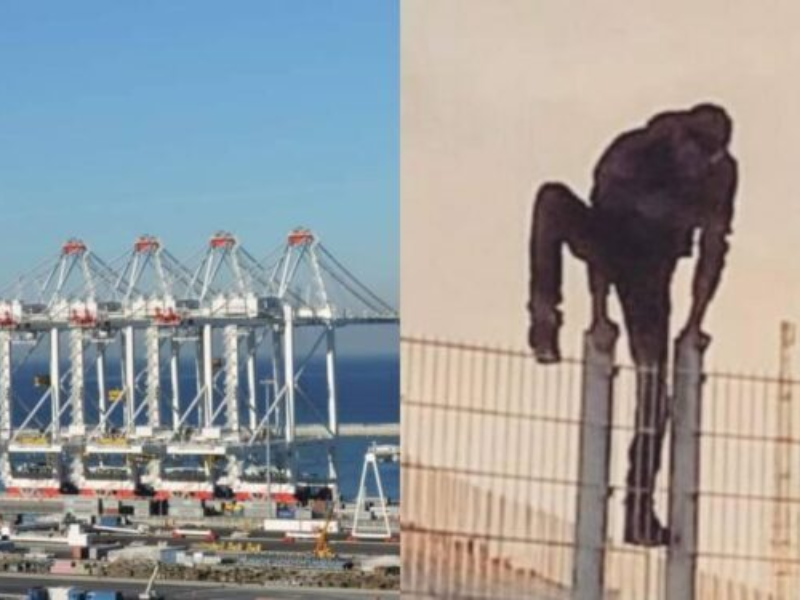 استعدادات أمنية مكثفة لتأمين ميناء طنجة المتوسط مع نهاية 2024