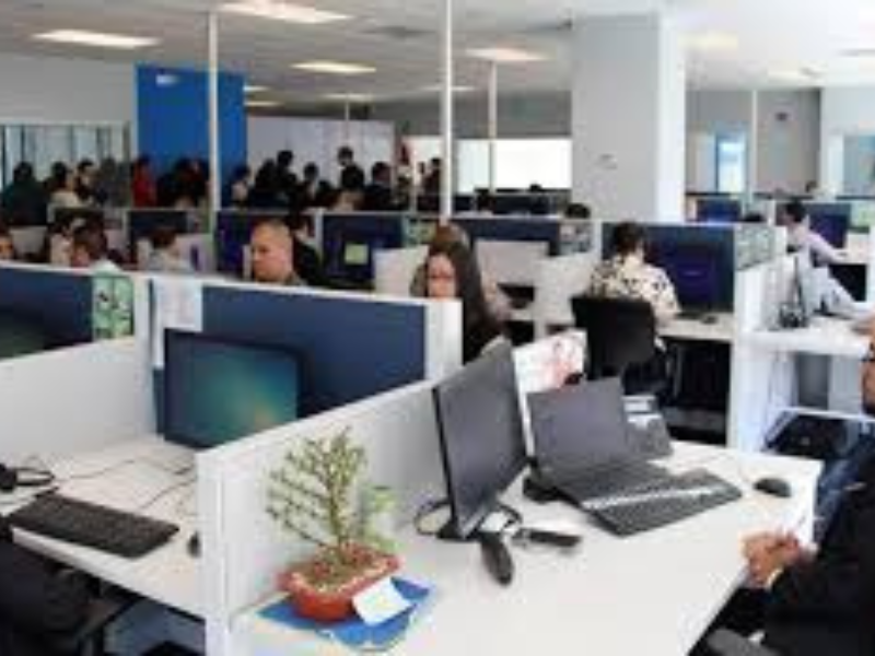 قطاع الخدمات يخلق 160 ألف فرصة عمل خلال 2024 قطاع الخدمات يخلق 160 ألف فرصة عمل خلال 2024