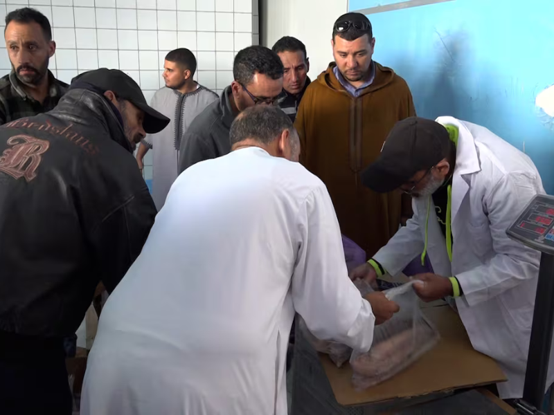 «الحوت بثمن معقول»: مبادرة لضبط أسعار الأسماك بمدينة الداخلة