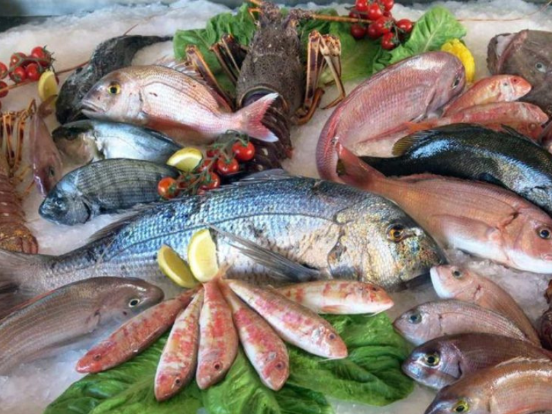 مبادرة «الحوت بثمن معقول» تحقق نجاحًا قياسيًا: توزيع 5 آلاف طن من الأسماك في 42 مدينة مبادرة «الحوت بثمن معقول» تحقق نجاحًا قياسيًا: توزيع 5 آلاف طن من الأسماك في 42 مدينة