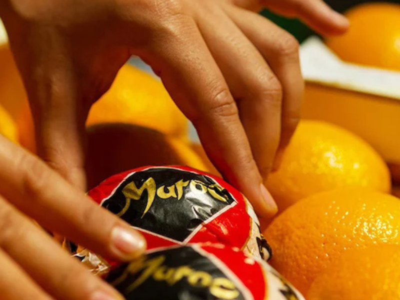 تغيرات في استيراد الحمضيات إلى روسيا: تحديات وحلول بديلة تغيرات في استيراد الحمضيات إلى روسيا: تحديات وحلول بديلة