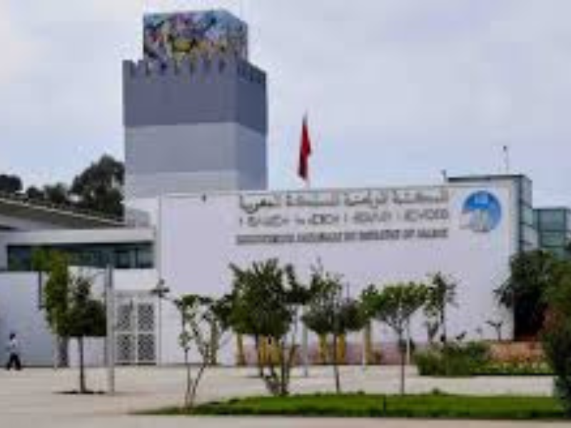 لأول مرة الرباط تحتضن الملتقى الأول للمكتبات الوطنية العربية لأول مرة الرباط تحتضن الملتقى الأول للمكتبات الوطنية العربية