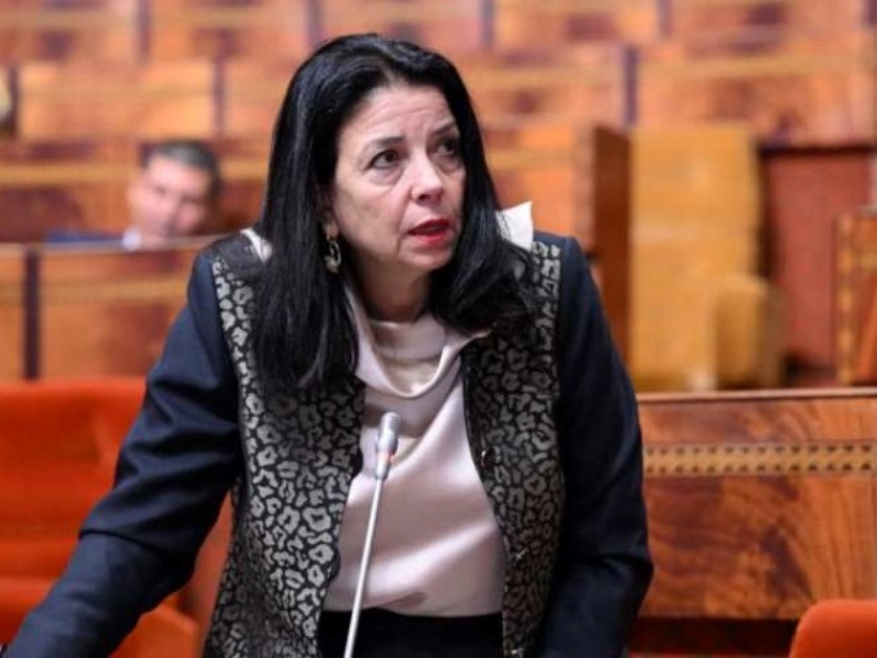 تعزيز الشراكة بين القطاعين العام والخاص لتطوير الكفاءات الرقمية في المغرب تعزيز الشراكة بين القطاعين العام والخاص لتطوير الكفاءات الرقمية في المغرب