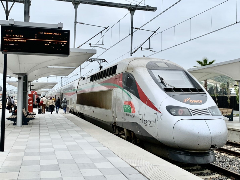 استعدادا لكأس العالم 2030.. جهة الدار البيضاء-سطات تُعبئ 16 مليار درهم لربط مراكش بالقنيطرة عبر TGV  استعدادا لكأس العالم 2030.. جهة الدار البيضاء-سطات تُعبئ 16 مليار درهم لربط مراكش بالقنيطرة عبر TGV