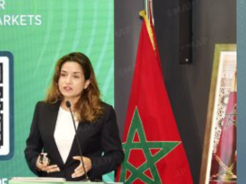 المغرب كقطب إقليمي لسوق الكربون: فرصة واعدة لتعزيز التنمية المستدامة