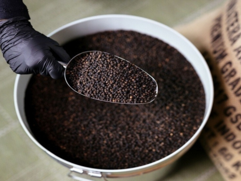 تأثير الفلفل الأسود على امتصاص الأدوية: نصائح طبية مهمة تأثير الفلفل الأسود على امتصاص الأدوية: نصائح طبية مهمة