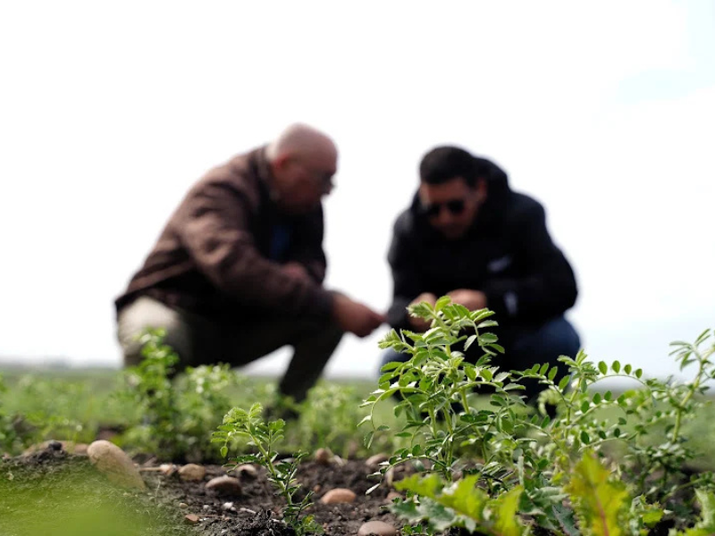 سفير المغرب بالبرازيل: شراكة استراتيجية متنامية وموقف داعم لمقترح الحكم الذاتي سفير المغرب بالبرازيل: شراكة استراتيجية متنامية وموقف داعم لمقترح الحكم الذاتي