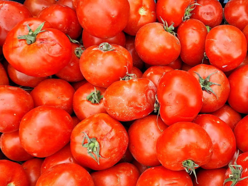 ارتفاع صادرات الطماطم المغربية إلى إسبانيا خلال الموسم الفلاحي الأخير ارتفاع صادرات الطماطم المغربية إلى إسبانيا خلال الموسم الفلاحي الأخير