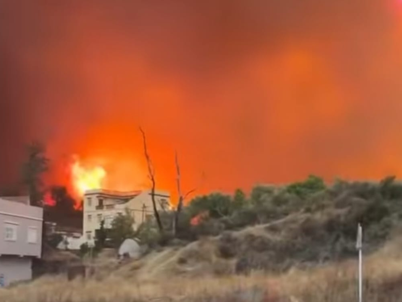 ٍحرائق مهولة تأتي على مساحات واسعة من الغابات في شفشاون وتطوان ٍحرائق مهولة تأتي على مساحات واسعة من الغابات في شفشاون وتطوان