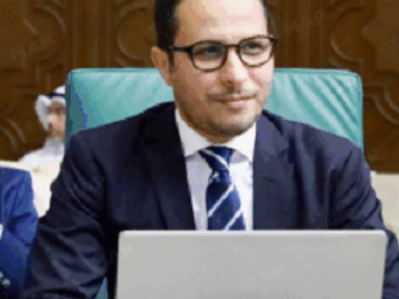 المبادرات المغربية تحظى بتقدير عربي في المجلس الاقتصادي والاجتماعي بالقاهرة المبادرات المغربية تحظى بتقدير عربي في المجلس الاقتصادي والاجتماعي بالقاهرة