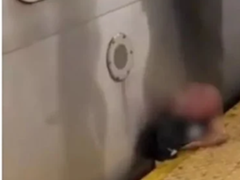 مأساة في محطة مترو نيويورك: رجل يلقى حتفه بعد سقوطه بين القطار والرَصيف