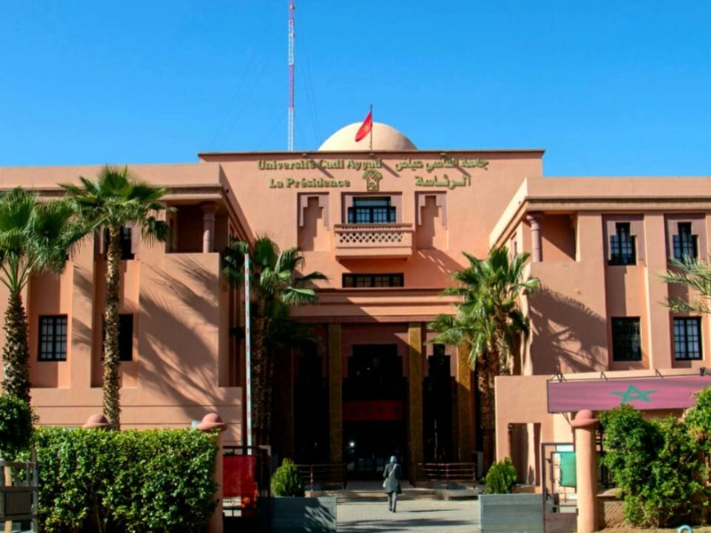 جامعة القاضي عياض بمراكش تحصد الميدالية الفضية في الابتكار المستدام بوادي السيليكون جامعة القاضي عياض بمراكش تحصد الميدالية الفضية في الابتكار المستدام بوادي السيليكون