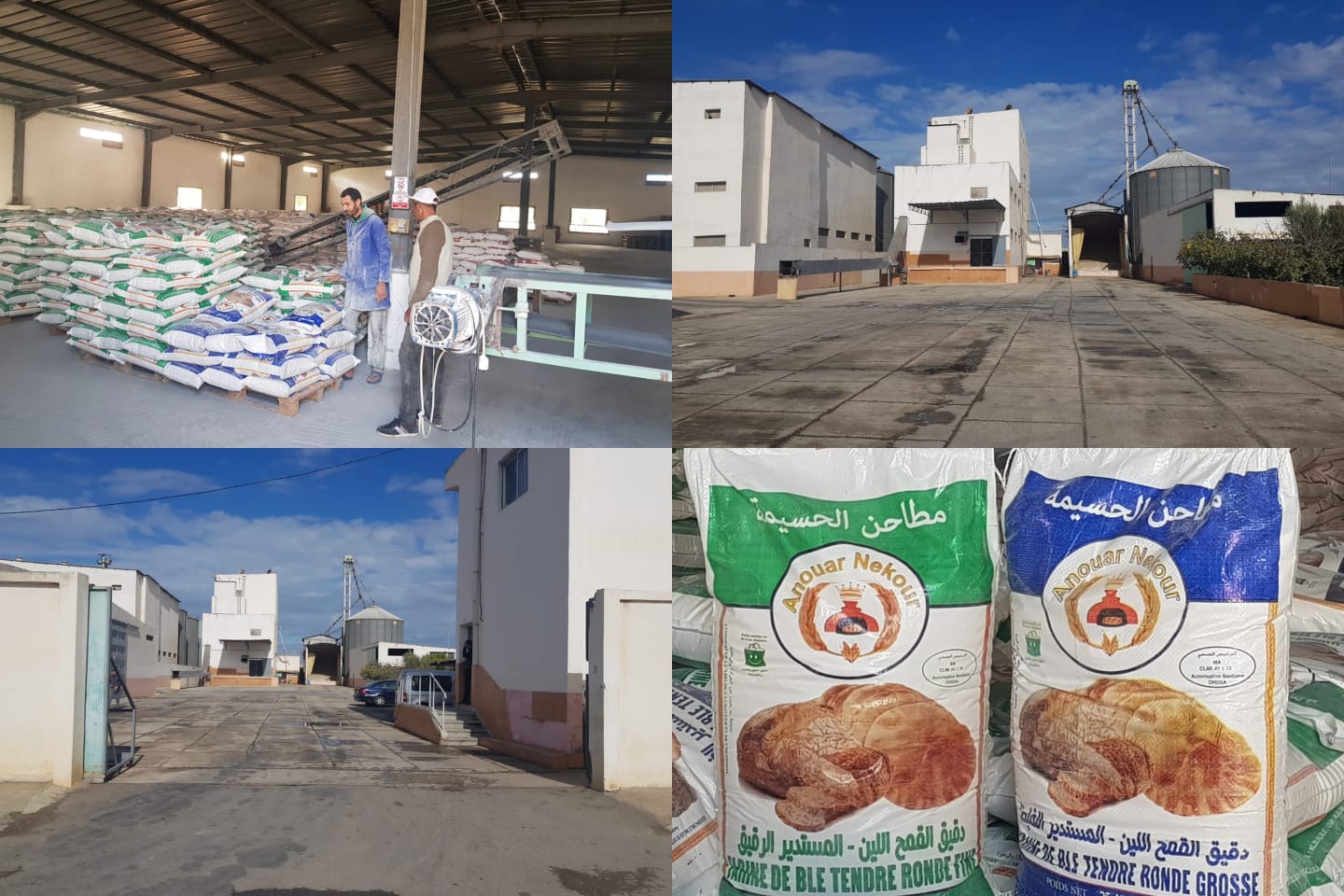 فيدرالية المطاحن تكذب مزاعم خلط الورق بالدقيق.. والتويزي يوضح مجاز العبارة فيدرالية المطاحن تكذب مزاعم خلط الورق بالدقيق.. والتويزي يوضح مجاز العبارة