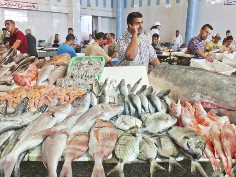 الدريوش تكشف عن إجراءات حكومية لضبط أسعار الأسماك وتعزيز التسويق المحلي الدريوش تكشف عن إجراءات حكومية لضبط أسعار الأسماك وتعزيز التسويق المحلي