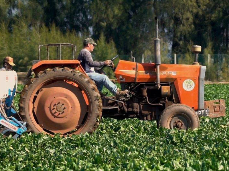 مشروع قانون المالية 2026: تحويل “صندوق التنمية القروية” إلى “الصندوق الترابي المندمج” لتعزيز العدالة المجالية