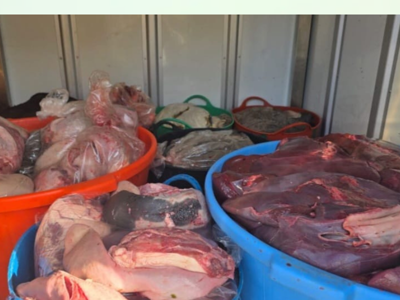 طنجة.. حجز ما يقارب طناً من أحشاء الأبقار غير الصالحة للاستهلاك