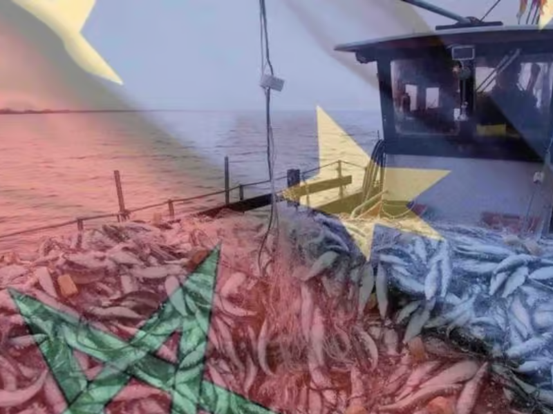 بروكسل تسعى لإعادة التفاوض حول اتفاقية الصيد مع المغرب بعد إلغاء الاتفاق السابق