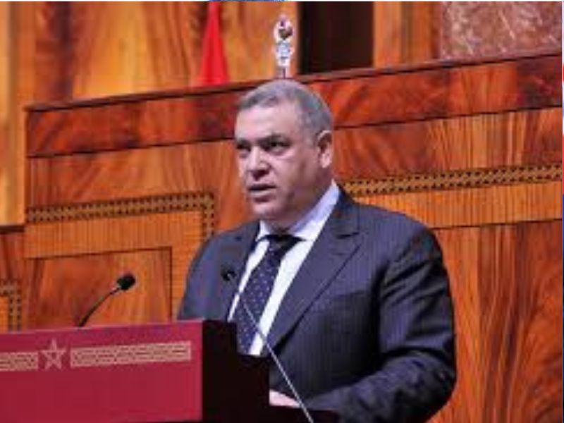 لفتيت : نواب سابقون يرفضون قرارات المحكمة الدستورية