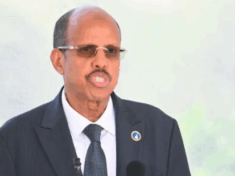 رئيس مفوضية الاتحاد الأفريقي ينفي وجود إبادة جماعية في شمال نيجيريا