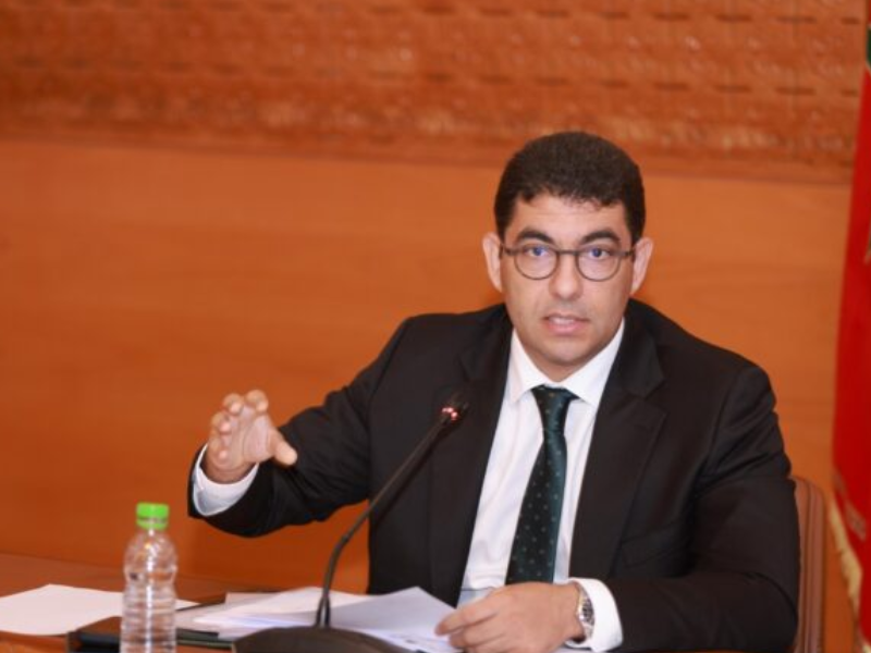 المجلس الوطني للصحافة وإصلاح القطاع : بنسعيد يدعو إلى توافق مهني وتطوير مستدام