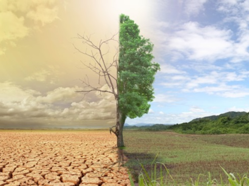 المغرب يحتل المرتبة السادسة عالمياً في مؤشر الأداء المناخي العالمي CCPI 2026