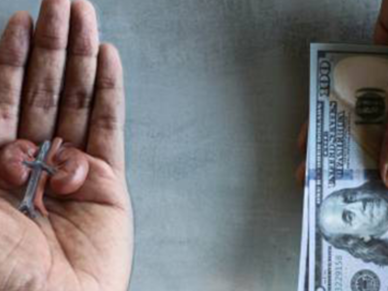 شرطة البنغال الغربية تُحبط مخططاً لبيع كلية امرأة دون علمها