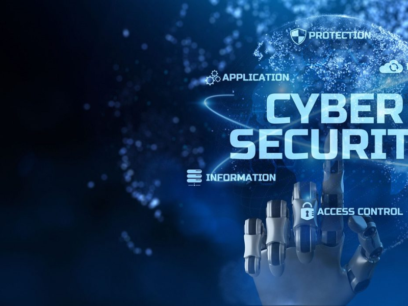 مجلس أوروبا يشيد بريادة المغرب التشريعية في مكافحة الجريمة السيبرانية