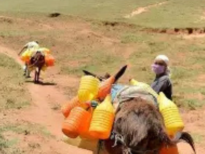 ​تعزيز التنمية القروية المتكاملة عبر إطلاق 36 مركزاً نموذجياً ضمن قانون مالية 2026