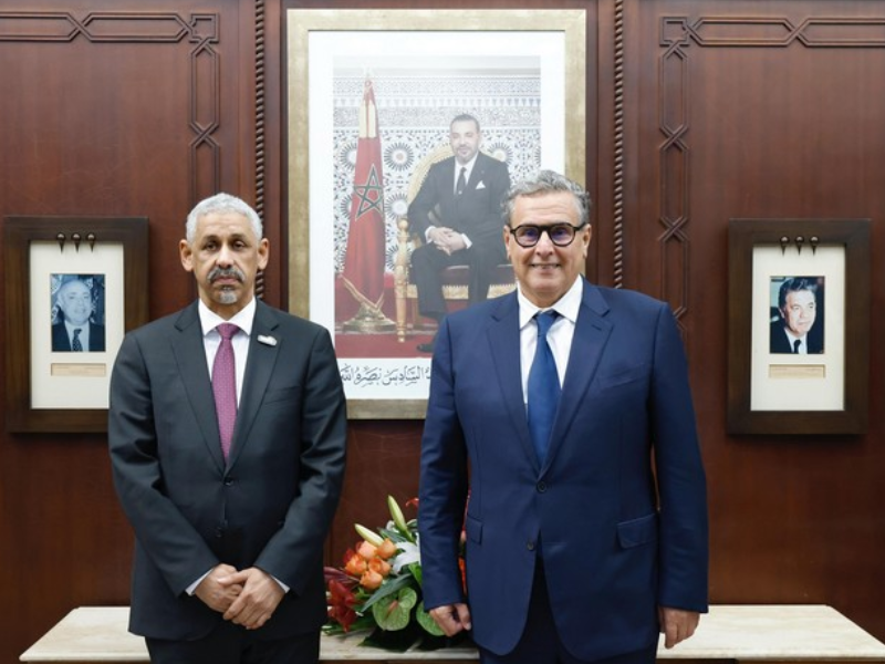 ولد التاه يشيد بدور المغرب المحوري في تعزيز برامج البنك الإفريقي للتنمية