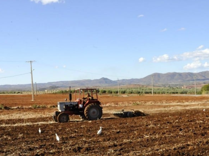 تساقطات مطرية مهمة تهدئ قلوب الفلاحين بجهة الدار البيضاء سطات