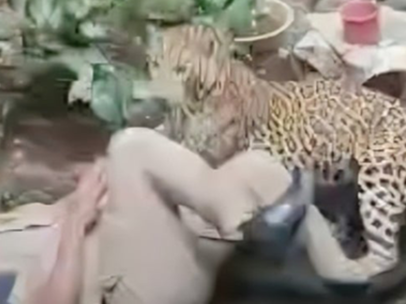 هجوم فهد على شرطيين في كولهابور بالهند أثناء عملية إنقاذ