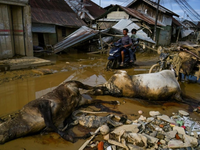 ​فيضانات وانهيارات أرضية في جزيرة سومطرة الإندونيسية تتسبب في مقتل 950 شخصًا وفقدان المئات