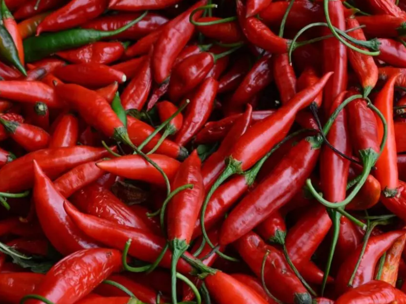 رفض أوروبي جديد للصادرات المغربية : هل تكفي بلاغات لونسا "المطمئنة" لمواجهة المخاطر المتزايدة على سمعة الفلاحة الوطنية؟