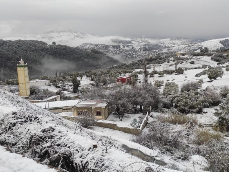 تاونات تواجه موجة البرد بتعبئة استباقية وحزمة تدابير متعددة