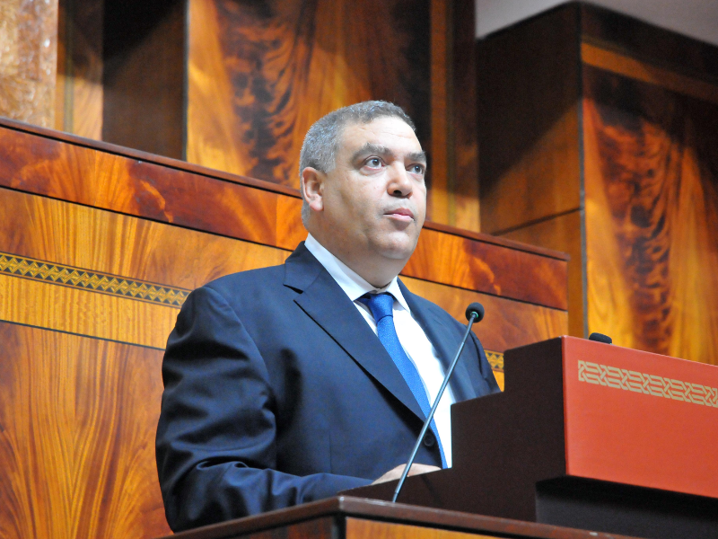 لفتيت: المغرب سجل أكثر من 100 ألف حالة عض وخدش بسبب الكلاب الضالة خلال 2024