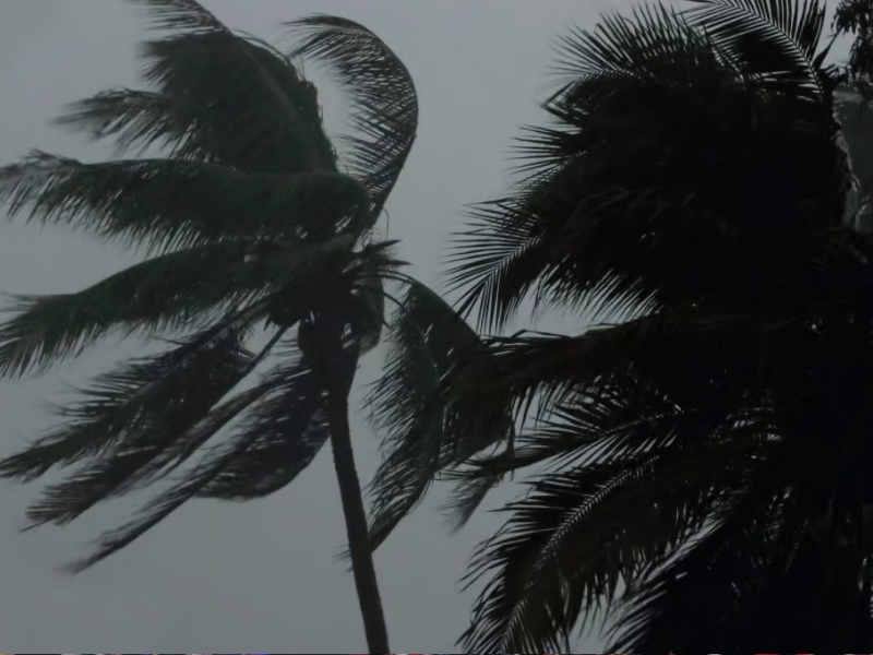 المملكة المغربية تواجه موجة من الثلوج والأمطار والرياح القوية خلال الأيام المقبلة