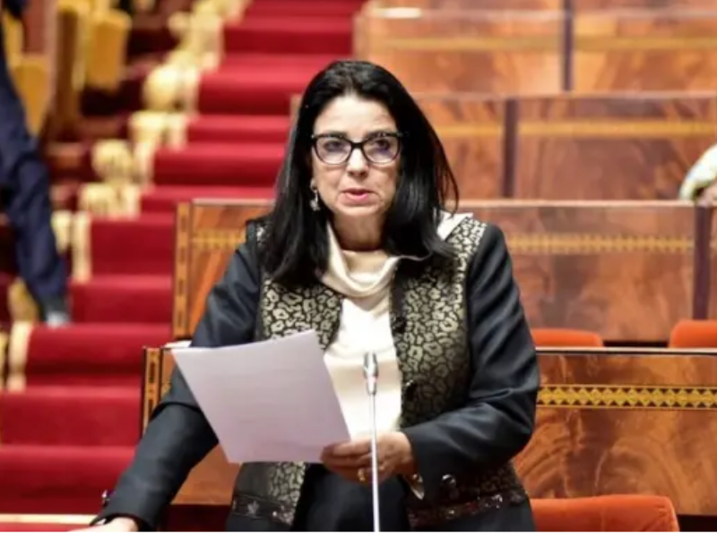 35 ألف مقاولة رقمية و600 خدمة عمومية… السغروشني تكشف سرعة التحول الرقمي بالمغرب