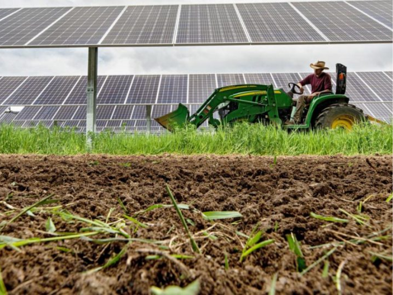 71 ألف وظيفة جديدة.. المغرب يتصدر قائمة الاستثمار الأجنبي في قطاع الأغذية والزراعة